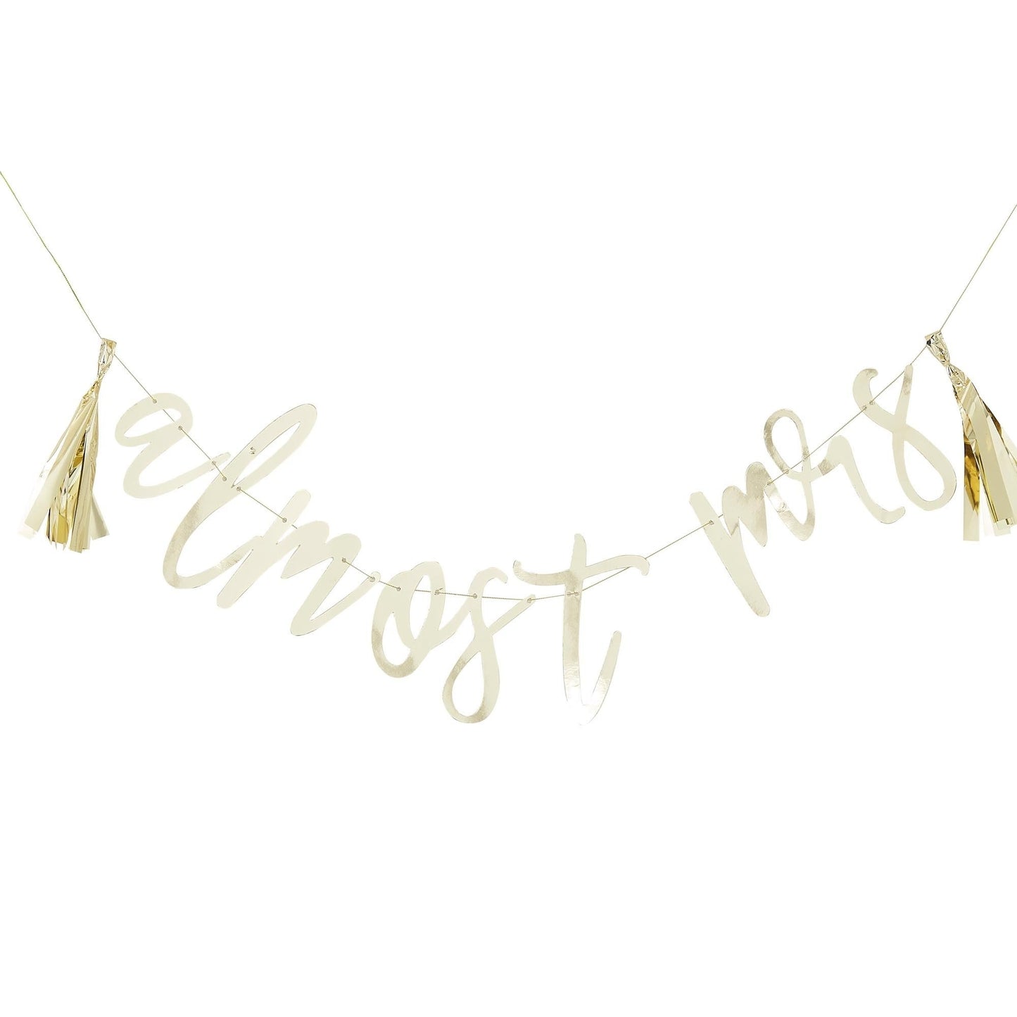Botanical Hen Gold Banner