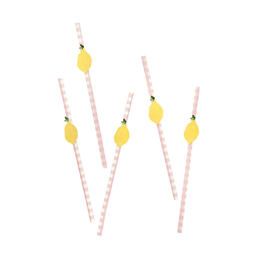Summer Picnic Paper Straws 20pk