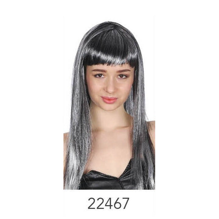 Long Wig with Fringe Grey image 0