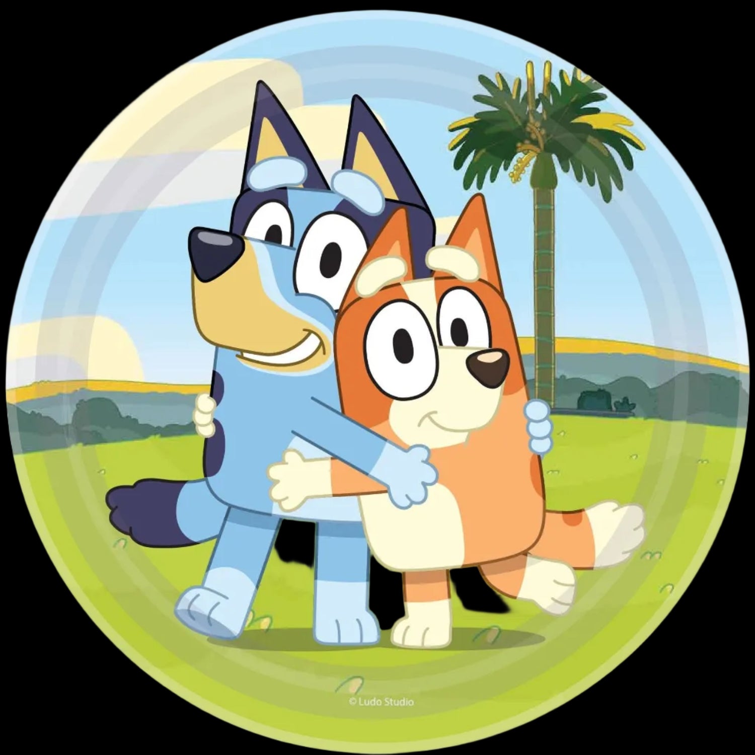 8 Bluey 23cm Round Paper Plates NPC image 0