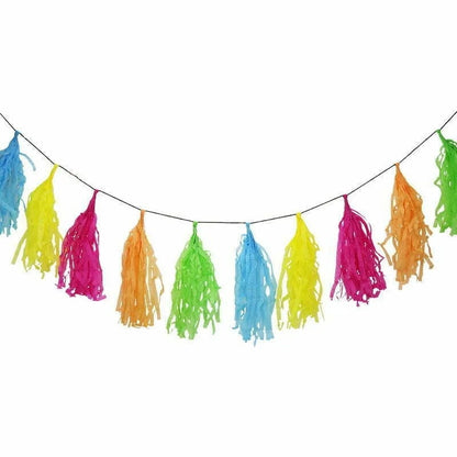 Coloured Tassels Bunting 3M