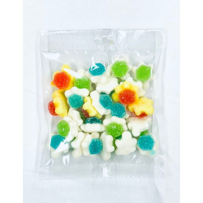 Gummy Sour Tortoise 125g