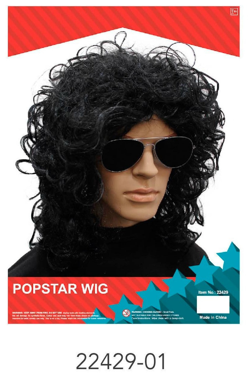 Popstar Wig (Black) image 0