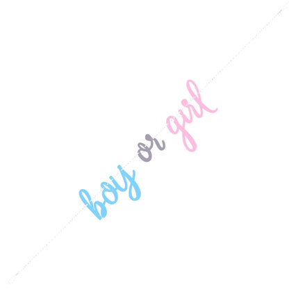 Blue & Pink Gender Reveal Banner