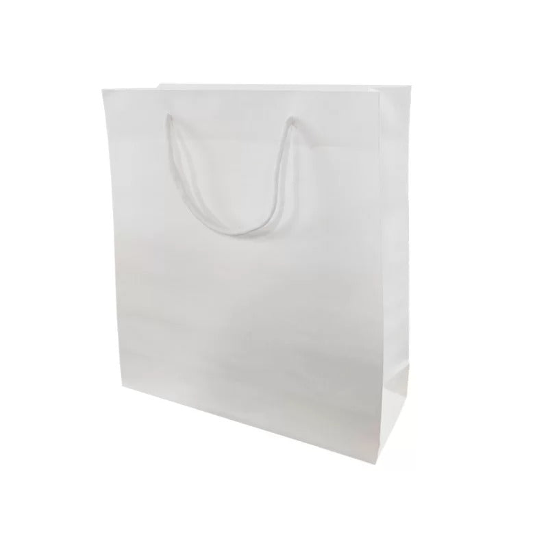 White Paper Bag - 4pk image 0