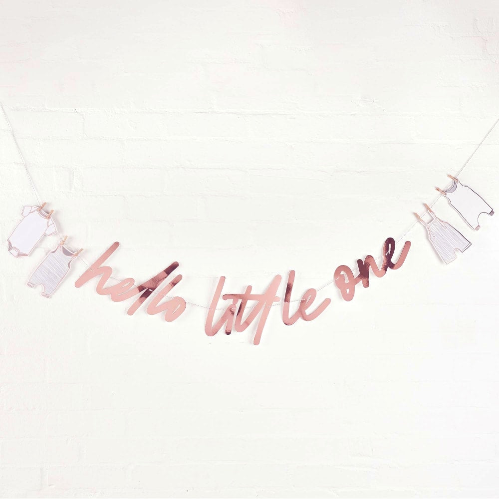 Hello Little One Rose Banner 2M