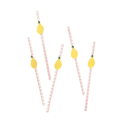 Summer Picnic Paper Straws 20pk