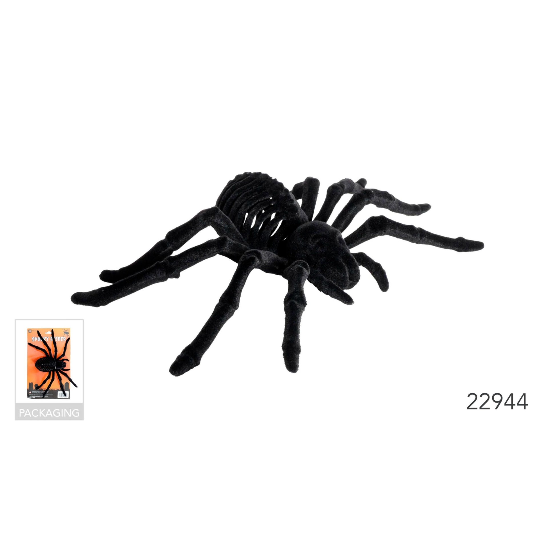 Giant Skeleton spider image 0