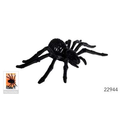 Giant Skeleton spider image 0