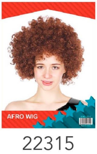 Afro Wig Dark Brown image 0